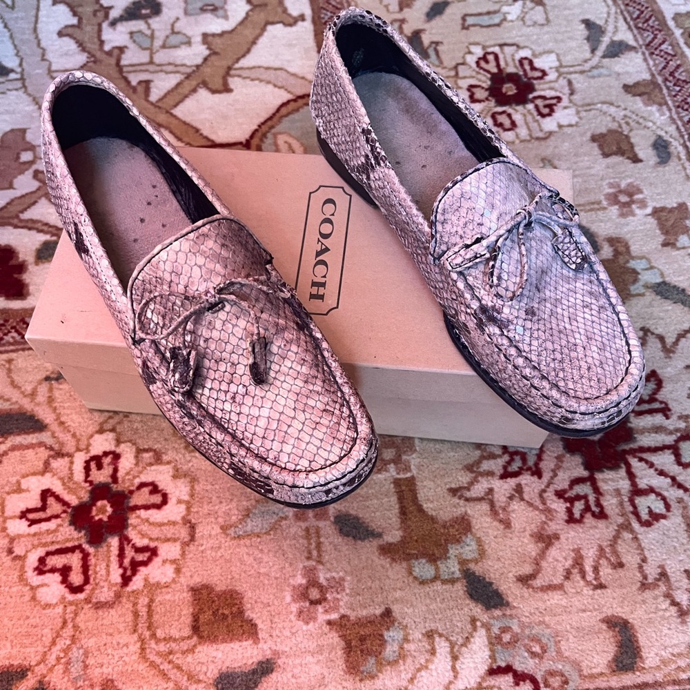 Coach Snakeskin Drivers